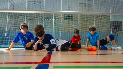Bild Goalinis mit Maske im Tor